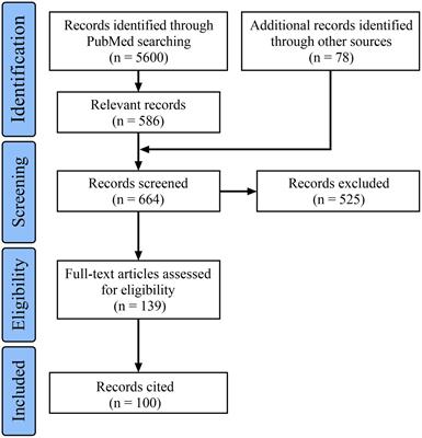 Endovascular treatment of middle cerebral artery aneurysms: current status and future prospects